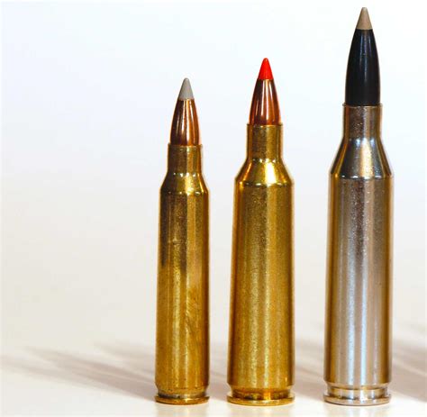 Coyote Cartridges: .223 Rem. Vs. .22-250 Rem. Vs. .243 Win.