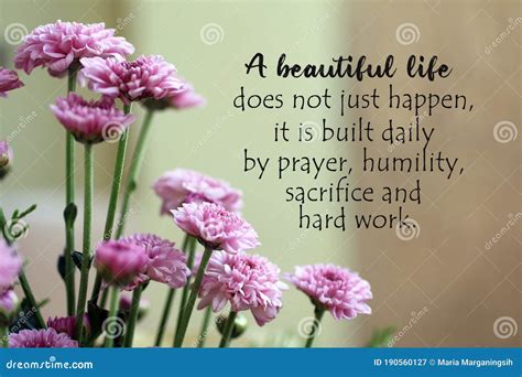 Inspirational Quotes About Being Beautiful