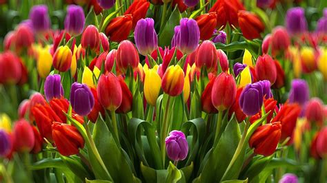Image result for Linear Number Patterns Image Examples