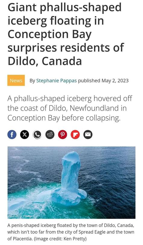 Image result for Bickus Dickus Monty Python