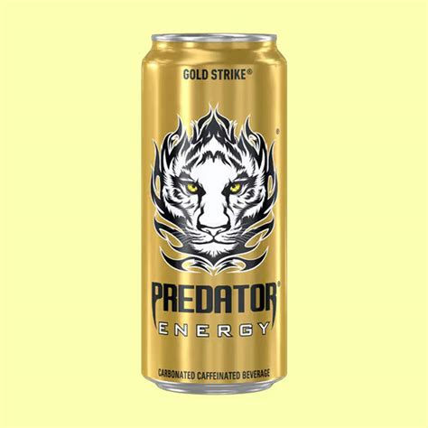 8 Best Energy Drinks In India In 2024 | LBB