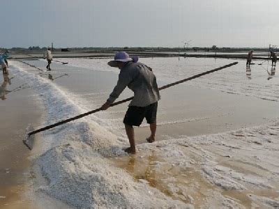 Salt | Neelkanth Group