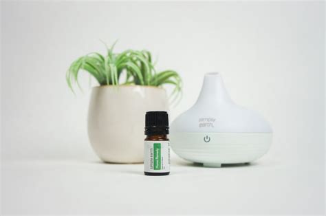 Image result for Homemade Diffuser Solution