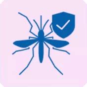 What Is Issuer & Meaning