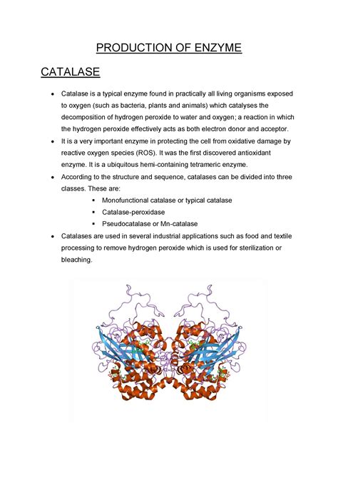 Production of two types of enzymes - PRODUCTION OF ENZYME CATALASE ...