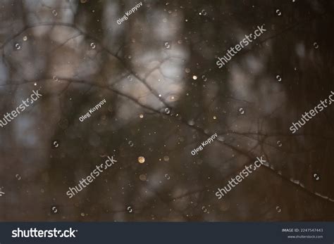 Snowstorm Time-lapse 的图像结果