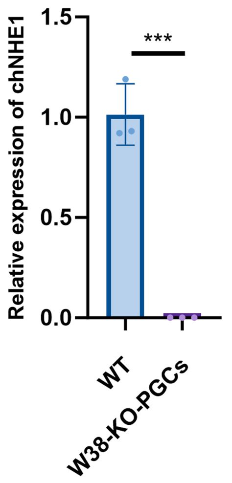 Precise Editing of chNHE1 Gene via CRISPR/Cas9 Generates ALV-J ...