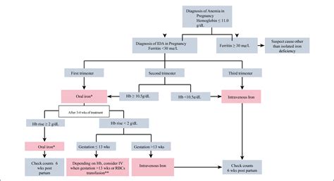 SciELO Brasil - Iron deficiency anemia in women: pathophysiological ...