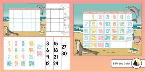 Beach Theme Calendar Display (teacher made) - Twinkl