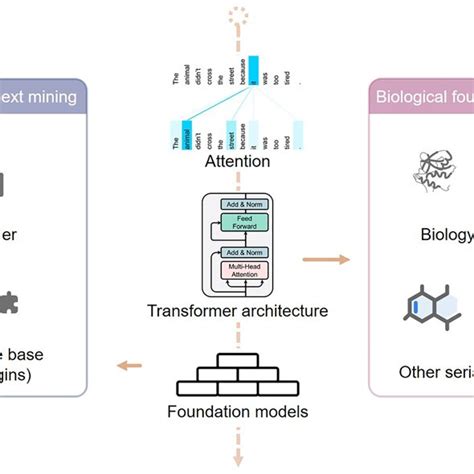 Bioinformatics Modeling 的图像结果