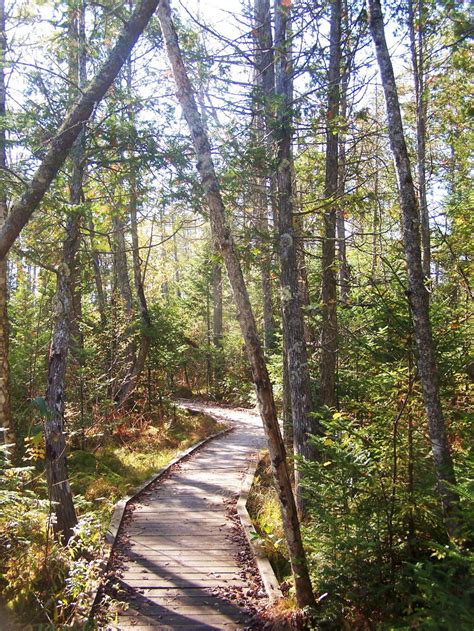 Photo: Silver Creek Preserve Walkway | Andy Arthur.org