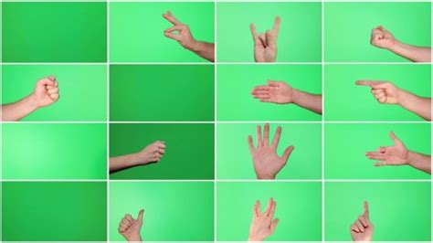 Image result for American Sign Language Alphabet Numbers
