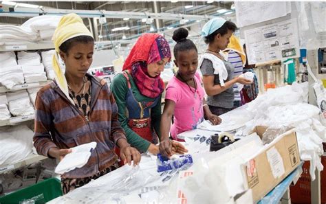 Local Trade 的图像结果