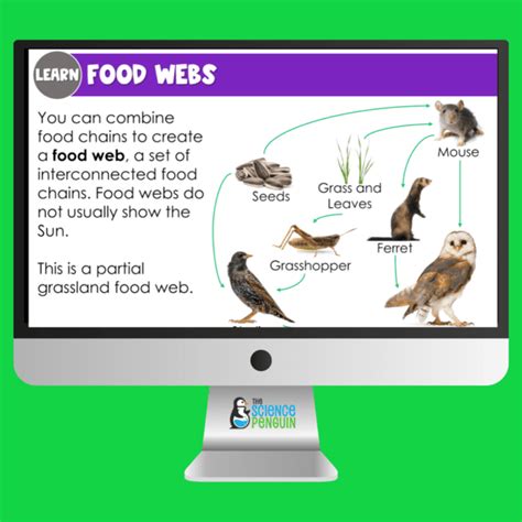 Image result for Easy Science Lesson