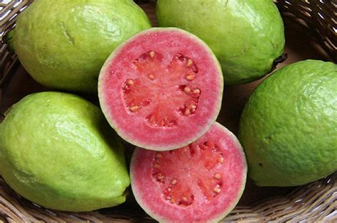 Guava Juice Eating 的图像结果