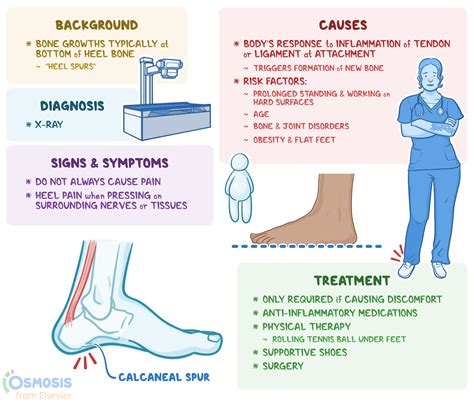 Calcaneal Spur X Ray Treatment