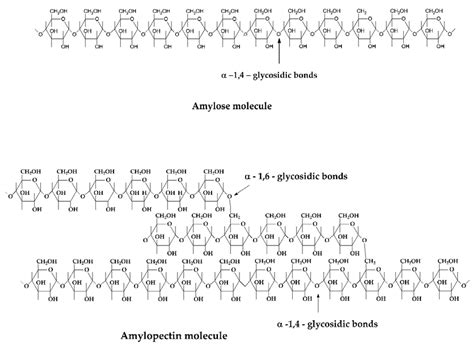 Edible and Functionalized Films/Coatings—Performances and Perspectives