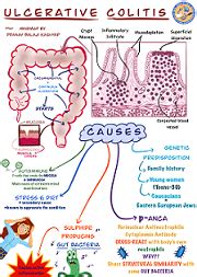 JSS Academy of Higher & Research | Dental College & Hospital ...