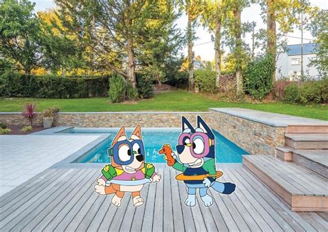 Buy Summer Bluey and Bingo With Inflatables Seahorse Beach Pool Party ...