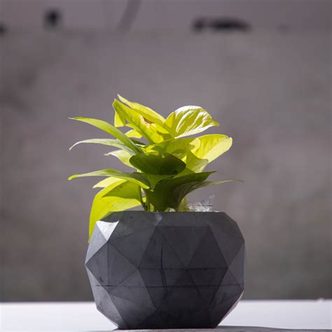 Fascinating Facet - Faceted Modern Planter for indoors and outdoors – Greyt
