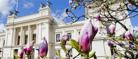 2 MSc degrees in Medical Science in Lund (2025)