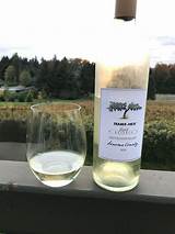 Trader Joe's Petit Reserve Sauvignon Blanc Sonoma County 2018 - Club ...