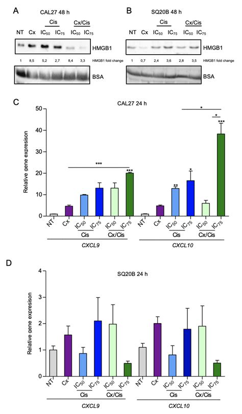 The EXTREME Regimen Associating Cetuximab and Cisplatin Favors Head and ...