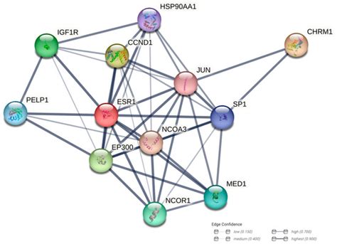 Acetylcholine, Another Factor in Breast Cancer