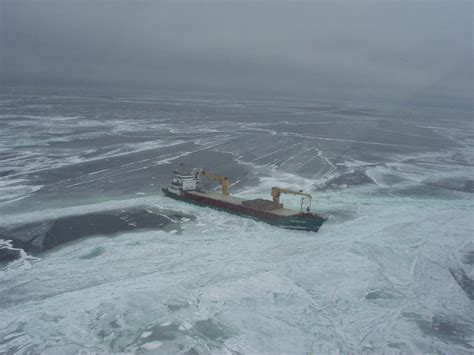 Image result for Ice Types Polar Code