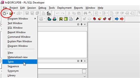 Image result for How to Write PL SQL in SQL Developer