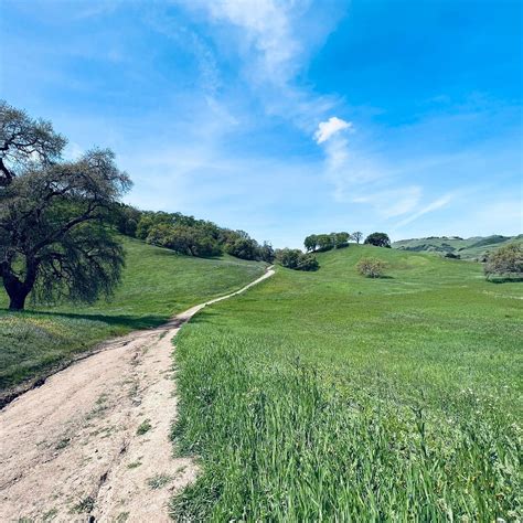 CALERO COUNTY PARK (San Jose): Ce qu'il faut savoir pour votre visite ...
