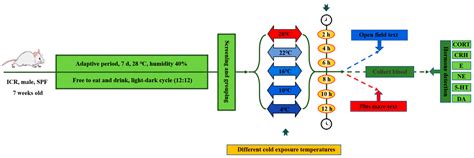 Effect of Acute Cold Stress on Neuroethology in Mice and Establishment ...