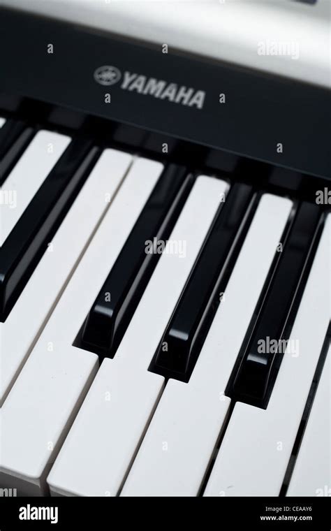 Keyboard Notes Yamaha 的图像结果