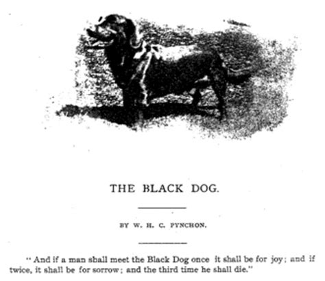 Black Dog Myth