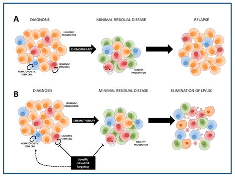 Specific Depletion of Leukemic Stem Cells: Can MicroRNAs Make the ...