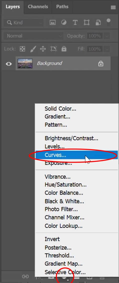 Image result for Curve Photoshop Tutorial