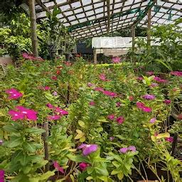 Sonargaon Picnic Spot - Picnic ground - Badu - West Bengal | Yappe.in