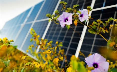 Image result for LightSource BP Logo