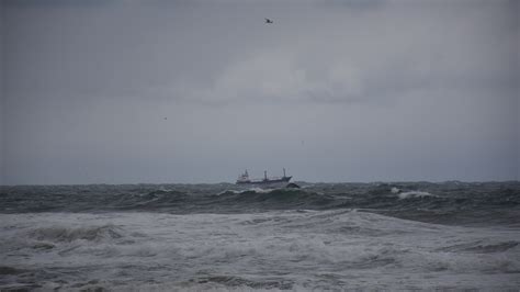 Two dead as cargo ship sinks off Turkey