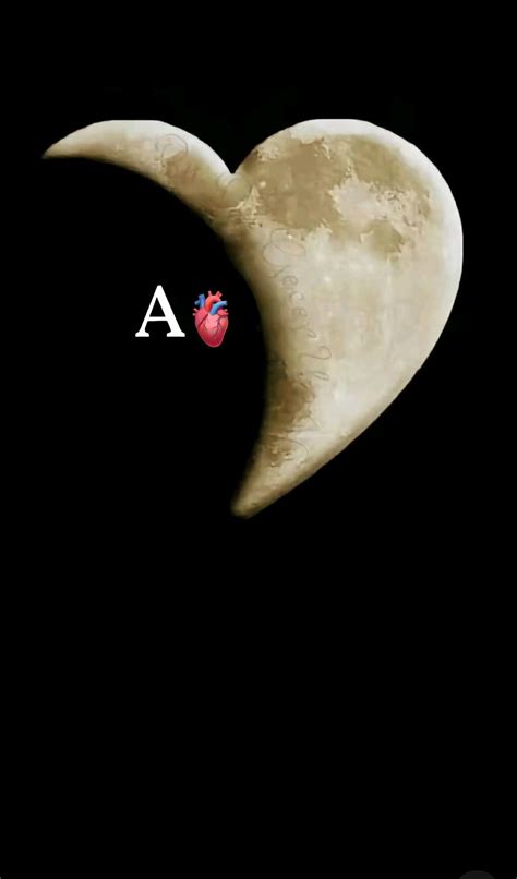 Moon Phases: A Fun and Educational Way to Learn about the Moon
