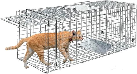 Big Size Cage Trap for Cats, Rabbits, and Squirrels - Two Door / Space ...
