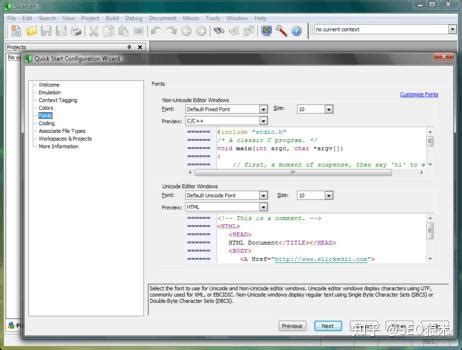 Image result for SlickEdit