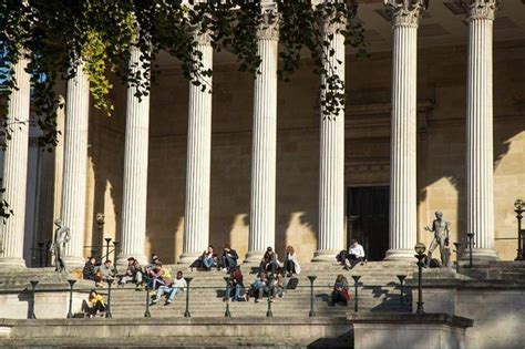 在UCL读本科，有多少学生拿到一等学位？ - 知乎