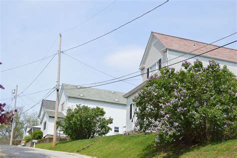 Pittsburgh Suburbs: Wilkins Township | Pittsburgh Beautiful