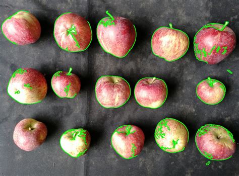 Image result for OpenCV Python Contour Erode