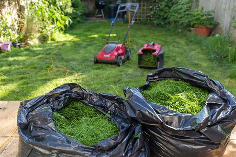 A List Of Grass Clippings As Mulch Pros And Cons