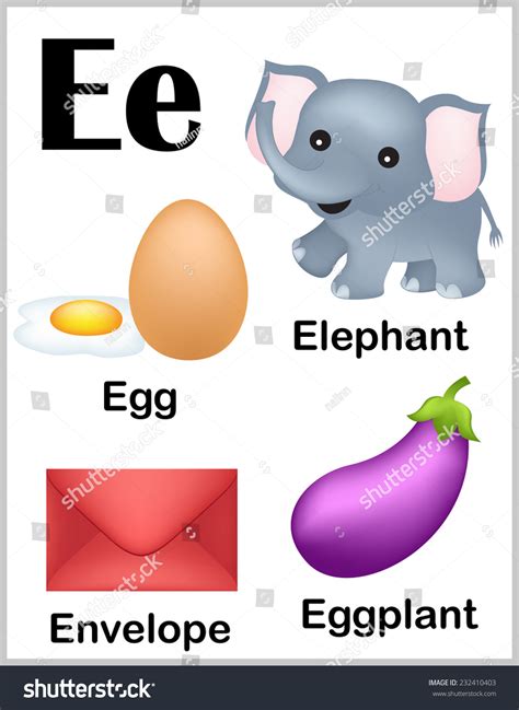 Camping Things That Start With E at Matthew Mendelsohn blog