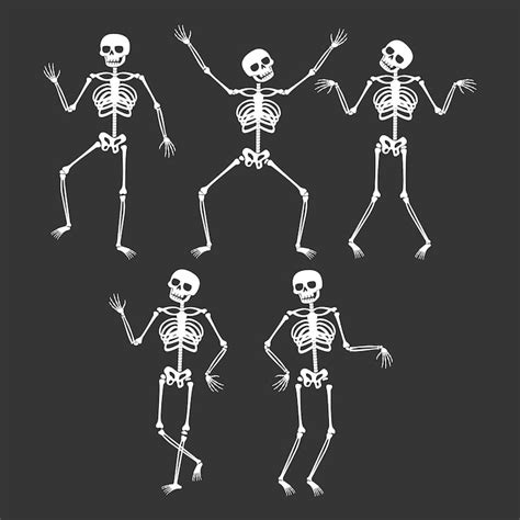 Printable skeleton Images - Free Download on Freepik