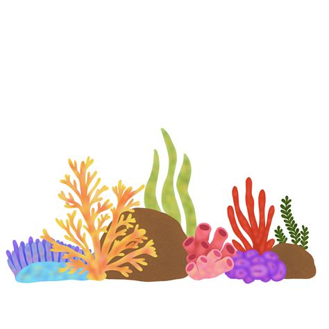 Free Coral Reef Composition 22094102 PNG with Transparent Background