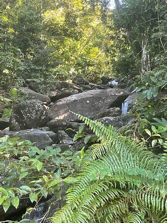 Charlie's Custom Day Tours Puerto Rico (San Juan) - 2022 What to Know ...